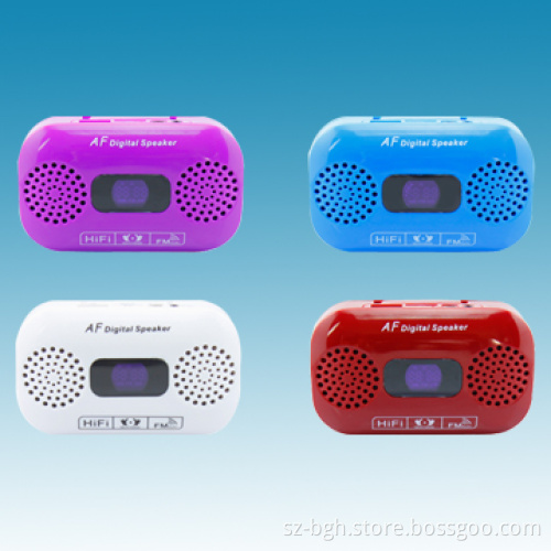 Protable Mini Speaker, Computer/USB/TF Speaker